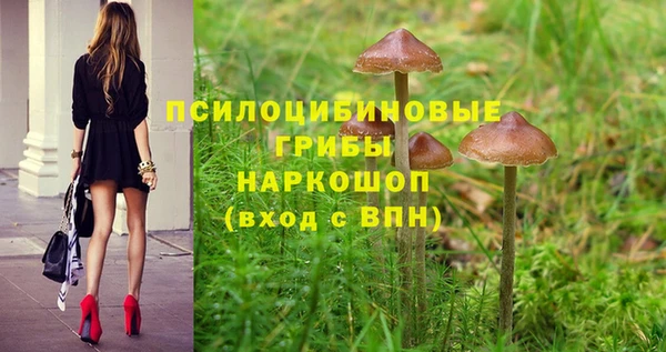 соль ск Богданович