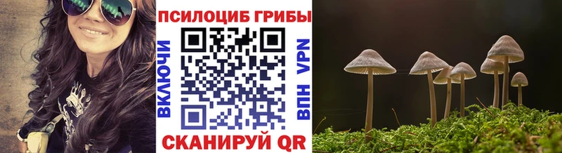 Галлюциногенные грибы MAGIC MUSHROOMS  Свободный 
