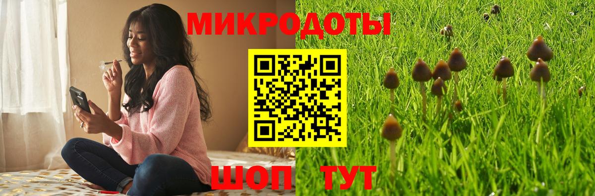 Свободный  Псилоцибиновые грибы GOLDEN TEACHER  Галлюциногенные грибы Magic Shrooms  что такое наркотик  Вход с VPN 